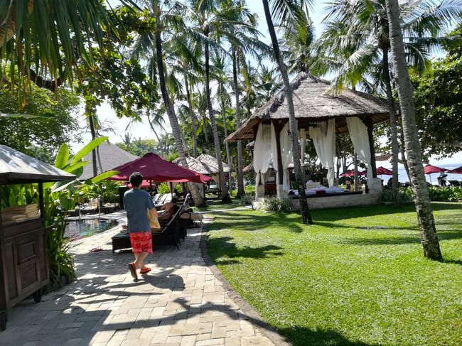 まだまだ敷地はあります。<br /><br />芝生のお庭もありますよ。