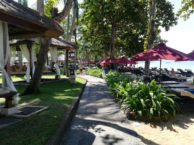 おっと、砂浜が見えてきました。