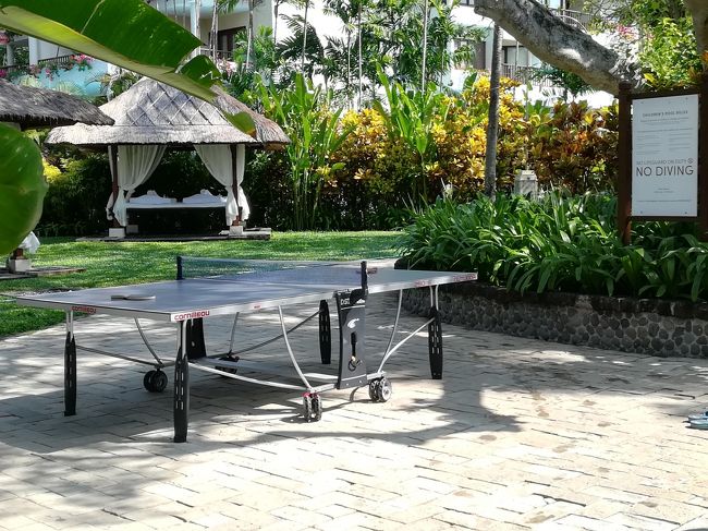 卓球台もありますが、暑くてする人いてるのかしら？