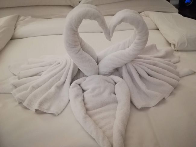 デコレーションの無くなった、スワンちゃん。<br />ほんと、白鳥だね！<br /><br />では、今日はもう寝ますか！！<br />明日は、たぶん早起きして早朝のお散歩のような気がします（笑）