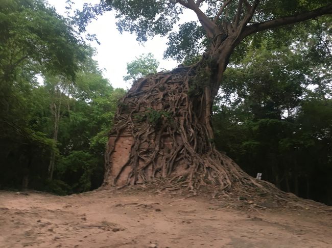 サンボープレイクック