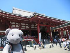 普通はメインであろう浅草寺は横目で見学。