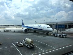 ＜ＡＮＡ　ＮＨ８８６便＞
　１４時１５分、「ＡＮＡ　ＮＨ８８６便」は、時間通りクアラルンプール国際空港を離陸しました。
　短い日数でしたが、マレーシアの魅力の一端を感じる旅となりました。
　ジャランアローの夜市やブルーモスク、イポー、ジョージタウンなど、行ってみたい場所がまだまだあるので、また訪れたいと思います。
