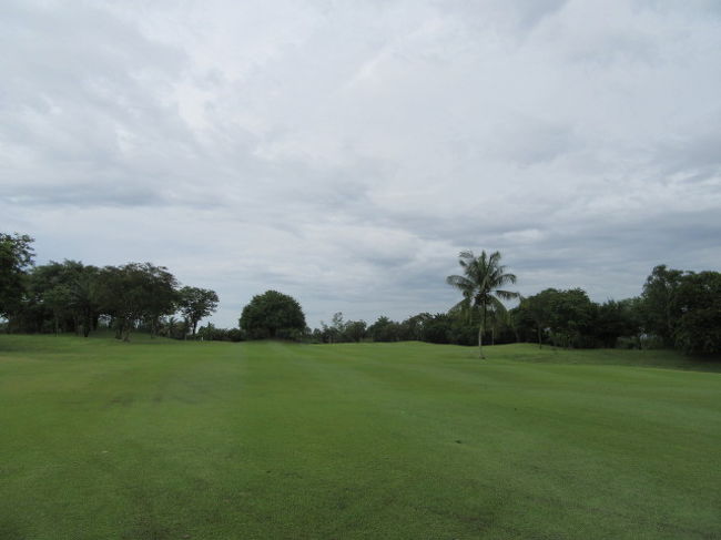 フェアーウエーはヤヤ湿り気多し。<br />グリーンの水たまりは無く、やや遅いが、プレーには支障なし。