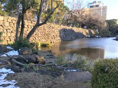 晴海通りを挟んで北に日比谷濠があり、南には日比谷公園があります。
せっかくここまで歩いてきたので、公園にも入ってみました。
入ってすぐのところに、心字池があります。
