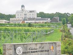 でもちょっと晴れ間が見えたので、ワイナリーへ写真を撮りに行ってみました♪