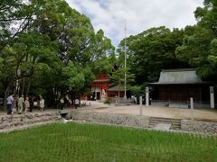 大山祇神社の稲田