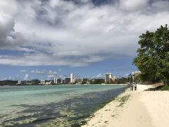 行きは道路を歩いて超暑くてきつかったので、帰りはビーチ沿いに戻ります。
ビーチの藻が目立ちますよねー。
最近タモンビーチでは海の生態系を守るために海藻や藻の掃除をやめているらしいです。でも水はきれいなので心配なく。
ただもしナマコも放置なら、昔みたいにナマコだらけになっちゃうかも？