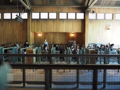 昨日も乗ったけど、これほんまにおもろい。
待ち時間なしで、すぐ乗り場まで。

この後、夜にも乗りに来ました、本当に最高。