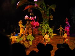 暑くてクタクタなので、その場ですぐ入れるライオンキングへ！
このショー最高なんだけど。

フロリダでも見てたから、同じだろうと思ってそんな注目してなかったけどフロリダとはまた違うショーでした。

本当に感動したし、フロリダよりこっちの方が好き。