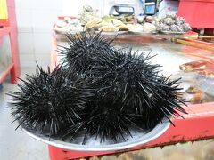 釜山最大の水産市場「チャガルチ市場」で陳列されていたウニ