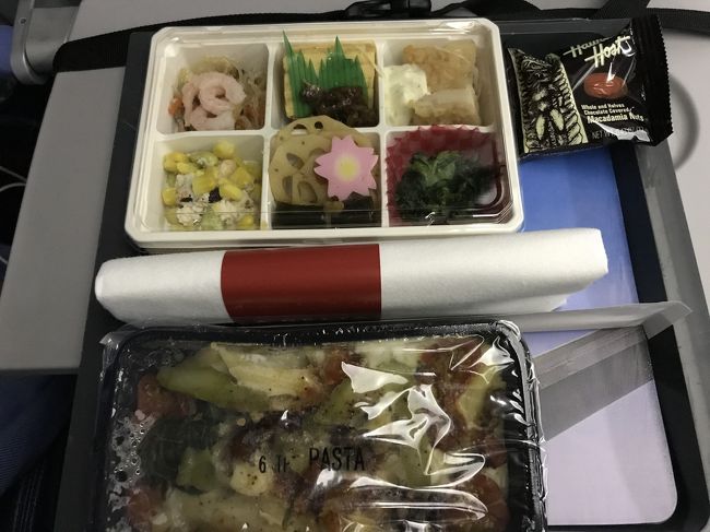 機内に乗り込みました。<br />デルタのお食事は 思ったより良かったです。<br />機内食を食べて なるべく寝て元気に初日から活動したいところですが 緑茶2杯飲んだせいか<br />なんだか眠れず。<br />離陸前に エビアンが一本ずつ配られました。<br />そうそう、 チェックインで並んでる時と 搭乗前に<br />「誰かから 荷物預かってと頼まれたりしませんでしたか？」とか<br />「粉類持ってませんか？」と聞かれました。<br />「太田胃散は持ってます」と答えて<br />「それは大丈夫です」となったんですが<br />ひとりなので 聞かれたのかも？<br />それともアメリカの航空会社だから？<br />イミグレでは 「仕事か 遊びか？」は聞かれました。<br />やっぱ一人だからかな？<br />