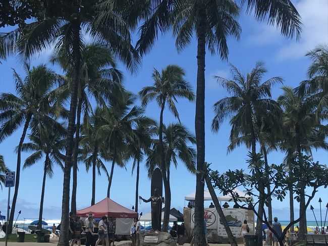 この風景見るだけで ウキウキです。<br />日差しが強いわー。