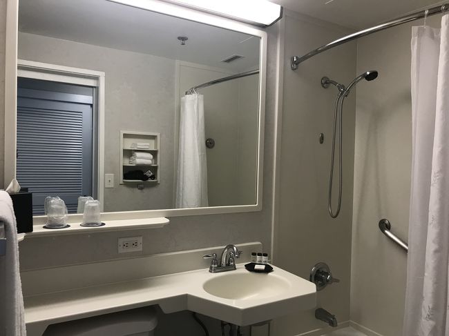 バスルームは普通ですけど<br />収納棚も後ろにあったので<br />綺麗に並べれました。<br />悪くない。