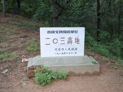 タクシーで203高地へ