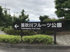 笛吹川フルーツ公園，「ほったらかし温泉」まで上って行く途中にあります。ここもまた甲府盆地の眺望が見事です。園内には，温室・物産館・さまざまな広場・温泉のほかホテルまであります。休日で家族連れなどで賑わっていましたが，今回はただ通過しただけ。