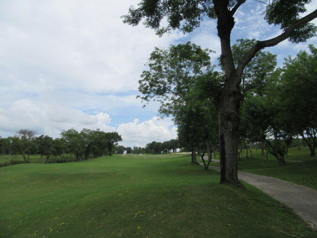 ■GreenWood Golf Club<br />Retox<br />G=   600<br />Cady=350<br />TR=  350<br />Cady Tip<br /><br />スマホで見た当地の天気予報は、曇りのち雨。<br />実際は、曇りで雨無し....日差しは強くなかった。<br />