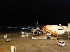 20:50 新千歳空港

TOKYO2020の塗装機で到着！