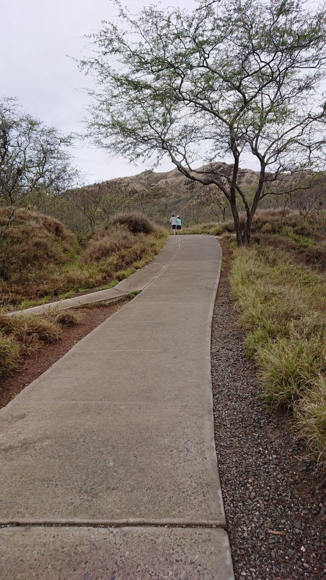 なだらかな坂道～( ^)o(^ )<br />これならサンダルでも大丈夫?なんて思っていたら・・・