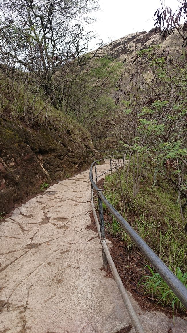 おやおや？そうでもないのかな？