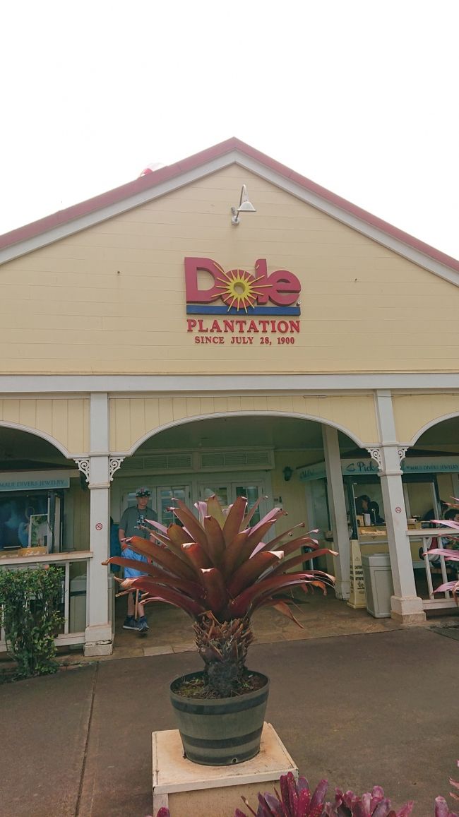 次のコースはドールプランテーション