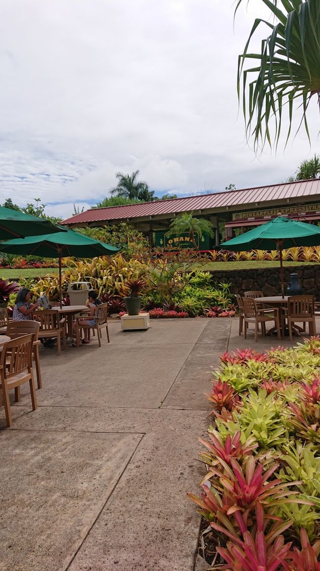 列車に乗りたいけど・・時間がないのよね(ToT)/~~~<br />これがツアーの悲しいところ