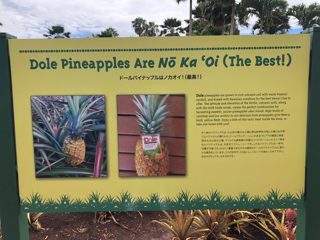 看板は日本語表記で有難い<br />日本人しか来ないのかな？<br />