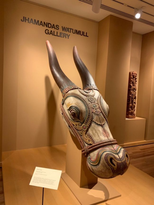 じっと見ていられる