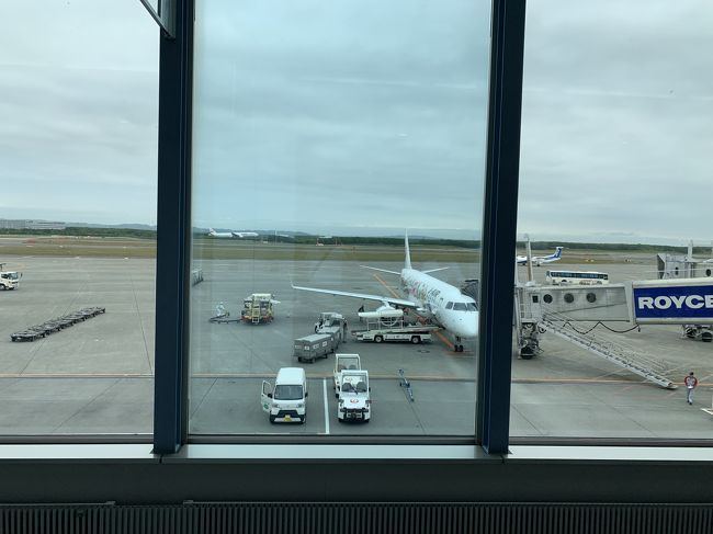 ６月２８日旅行初日<br />義理の弟にワンちゃん預け自宅を出発。<br />千歳市内の丸亀製麺で昼食。<br /><br />１５時００分千歳出発です。<br />ホノルル線と国内線は別予約なのでラウンジは使用できず（泣）