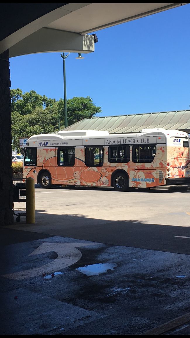 フライングホヌ号だあ。<br />これに乗ってワイキキへ戻って見よう