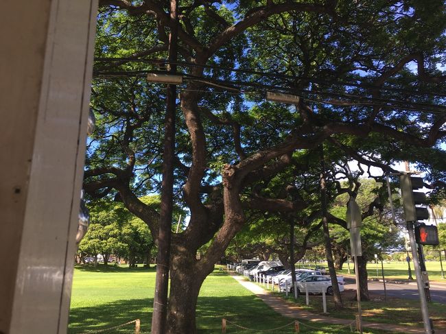 さて、レアレアトロリーでワイキキに戻りましょう。<br />途中の景色も癒される。<br />レアレアトロリーは本当に便利。何度も同じコースを行き来出来るし、一人でも楽しいですよ