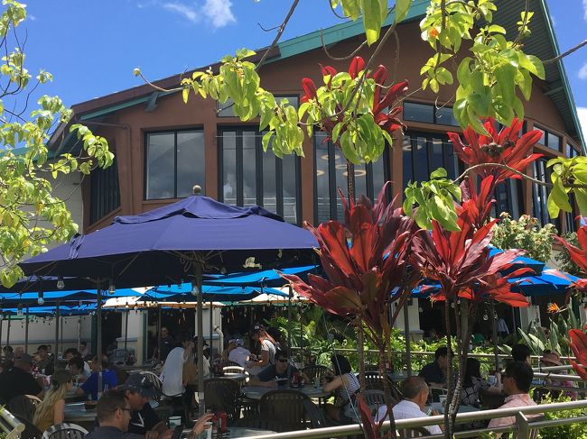 この外観が素敵ですね。<br /><br />レンタカーでしか来れないと思ってたけど、レアレアで来れるので便利ですよ。<br />