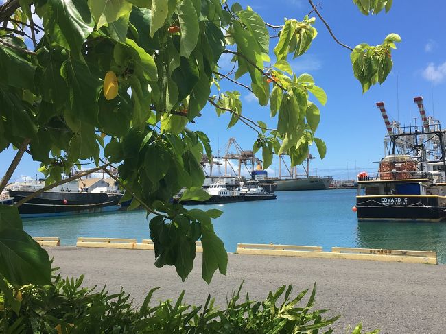 ただ、雰囲気は最高！<br />テラスで食べると気持ちいいし、景色もいい。<br />ハワイに来た！て感じがします。