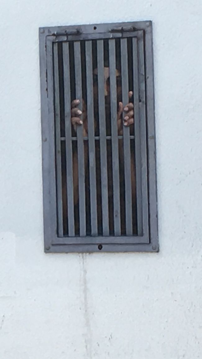 この壁画は、よーく見ないと気がつかない。<br />気がついたら、ゾッとします。<br />