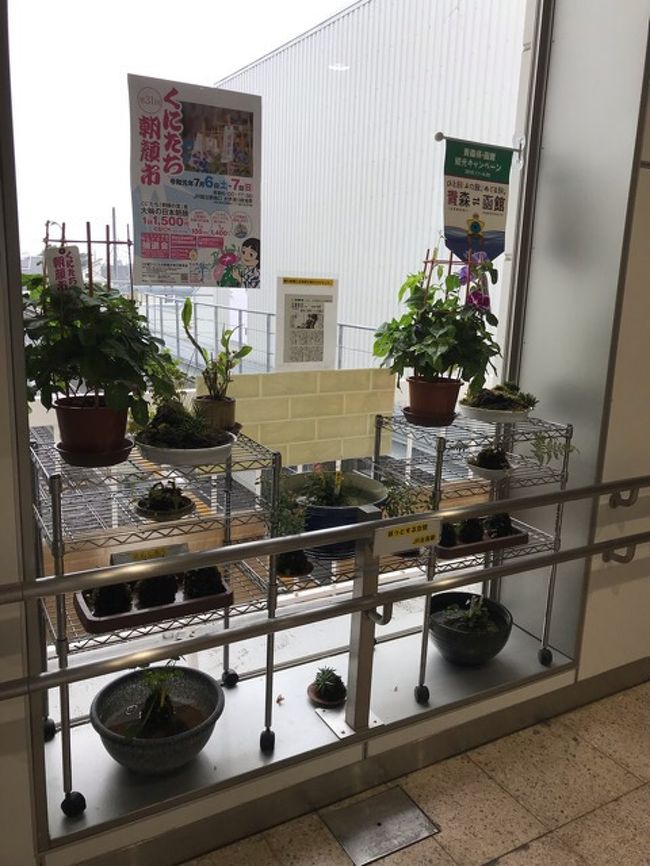 多摩地区で行われた朝顔市とほおずき市19 谷保天満宮のあじさい 立川 東京 の旅行記 ブログ By としさん フォートラベル 多摩地区で行われた朝顔市とほおずき市19 谷保天満宮のあじさい 立川 東京 の旅行記 ブログ By としさん フォートラベル