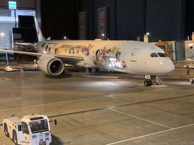 搭乗機は嵐ジェットのようですね。