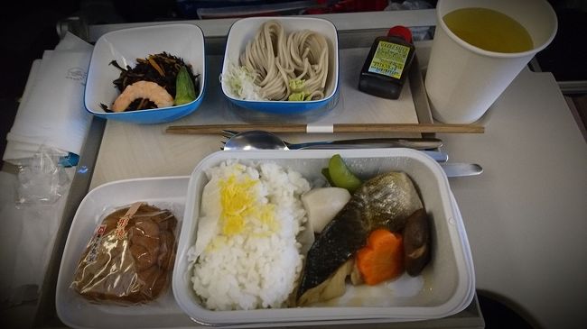 成田発11:00-デンパサール着17:40<br /><br />機内食は魚。<br />味は見た目どおり…。