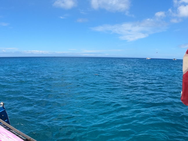 15分くらい船に揺られ<br />ウミガメポイントまで来たようです！<br />スタッフのお兄ちゃんが<br />シュノーケル、フィンをして<br />ウミガメ探しに<br />海へ潜っていきます