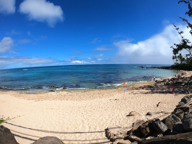 ウミガメで有名な<br />ラニアケアビーチへ。<br />午前中だったからか？残念ながら<br />甲羅干ししてる所を<br />見ることはできませんでした(TT)<br />でも波打ち際をぷかぷか浮かぶ<br />ウミガメさんを数匹確認できましたょ！