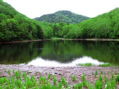長池は志賀火山の新しい溶岩台地と古い溶岩の丘のくぼ地にできた池で、志賀高原で3番目に大きいものです。