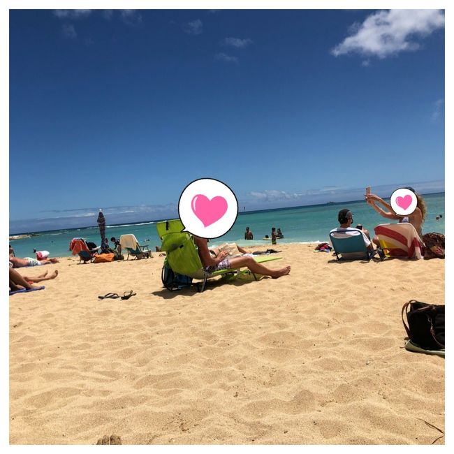 今日は居ないな～