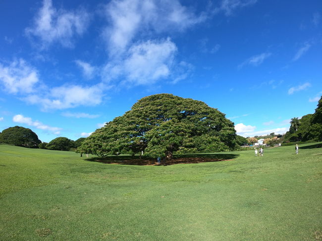 誰も居ない<br />独り占め(・∀・)