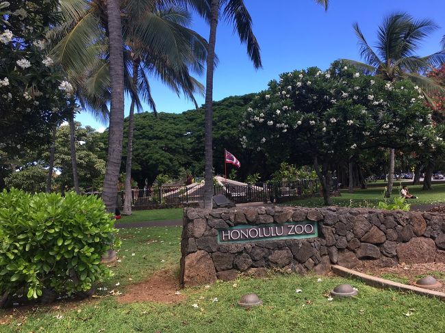 気持ち良い公園だったけど、あちこち、よーく見ると怪しい人がいます。<br />気を抜かないようにしないと。<br />