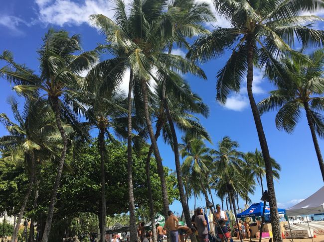 おばちゃんのハワイ一人旅も終わろうとしてます。