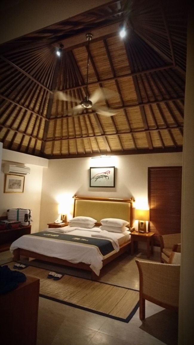 部屋の様子です。<br />天井が高くて快適。<br /><br />壁には象さんが描いたと思われる絵が…