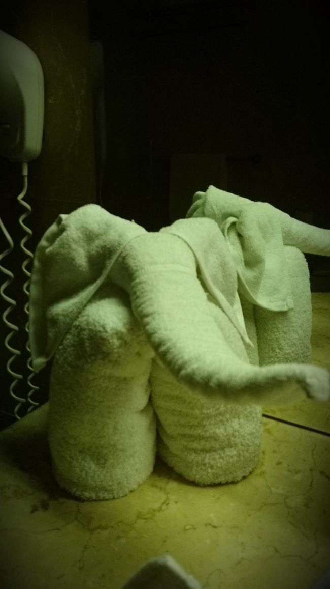 ホテルの事前情報で楽しみにしていたタオルで作った象さんがいました。<br /><br />かわいい！<br />