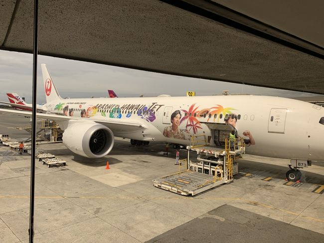 改めて嵐ジェットを撮影！<br />駐機場所からウイキウイキバスに乗らず徒歩で入国審査場へ<br />バスなくなったのかな？