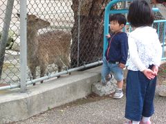 子供動物園