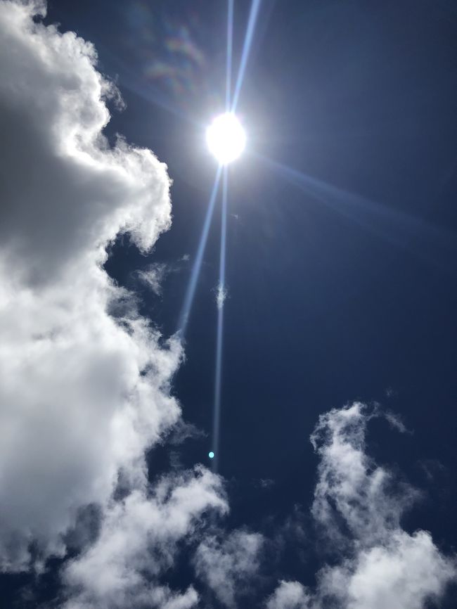 いいお天気です。<br /><br />海に入って<br />ビーチに横になって<br />ボケ～として<br />お昼寝して<br />幸せ。。。<br />ハワイに来てよかった。