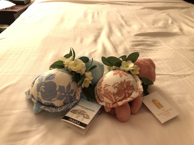 おばちゃまありがとう～！<br />モアナにて<br />青いウミガメさんを購入できましたー